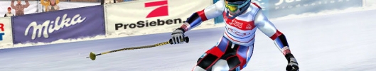 Ski Racing 2005